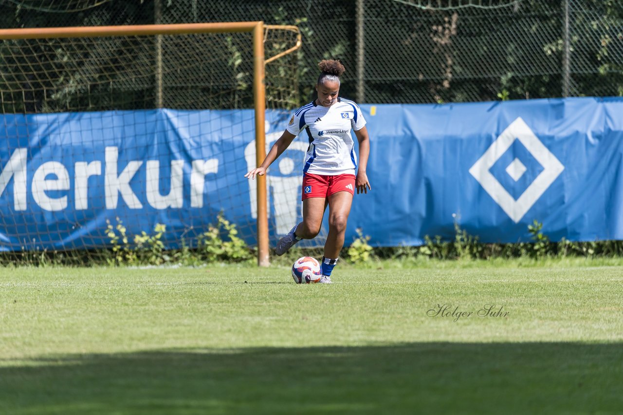 Bild 216 - wBJ Hamburger SV - VfL Wolfsburg : Ergebnis: 5:1